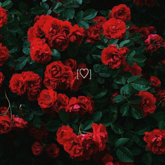 𝒩 𝒰 ℳ ℬ 😩 （ 𝒯𝒪𝒩’𝒮 ）