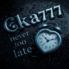 Never too late - Blue Night RMX