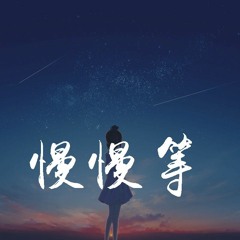 芝麻Mochi - 慢慢等「如果不曾拥有 还有什么可失去呢，如果时间足够 还有什么要遗忘呢」【動態歌詞/pīn yīn gē cí】