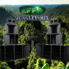 EFFA - Jungley Mix 180bpm