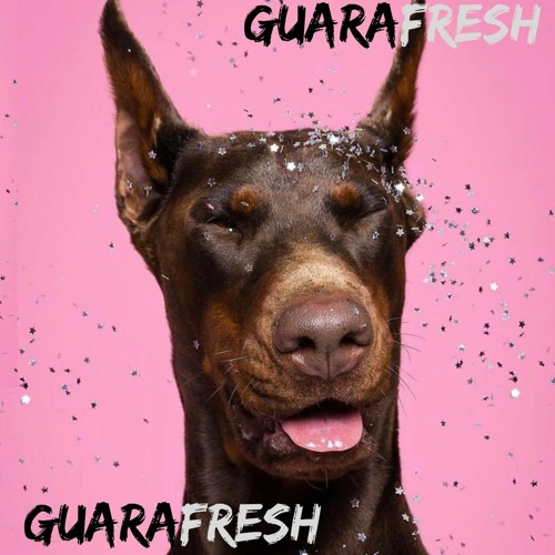 GUARAFRESH -KIM ZULUAGA