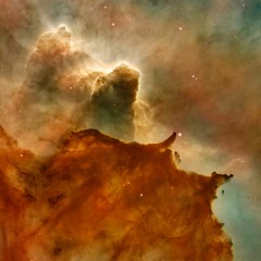 JUNGLE (Indrajit vs Thabiso vs Michael)