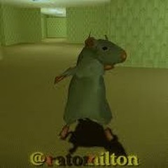 bailao do rato milton