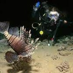 Mysteries Of The Deep Instrumental Remastered