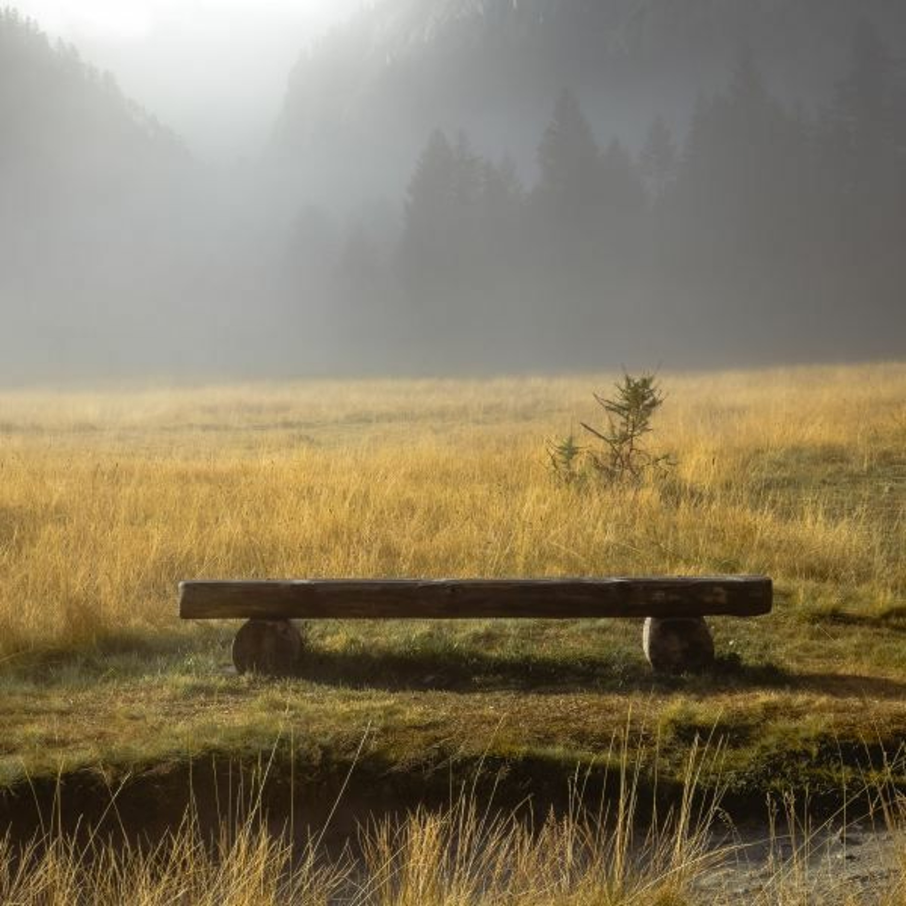A Table In The Wilderness episode artwork