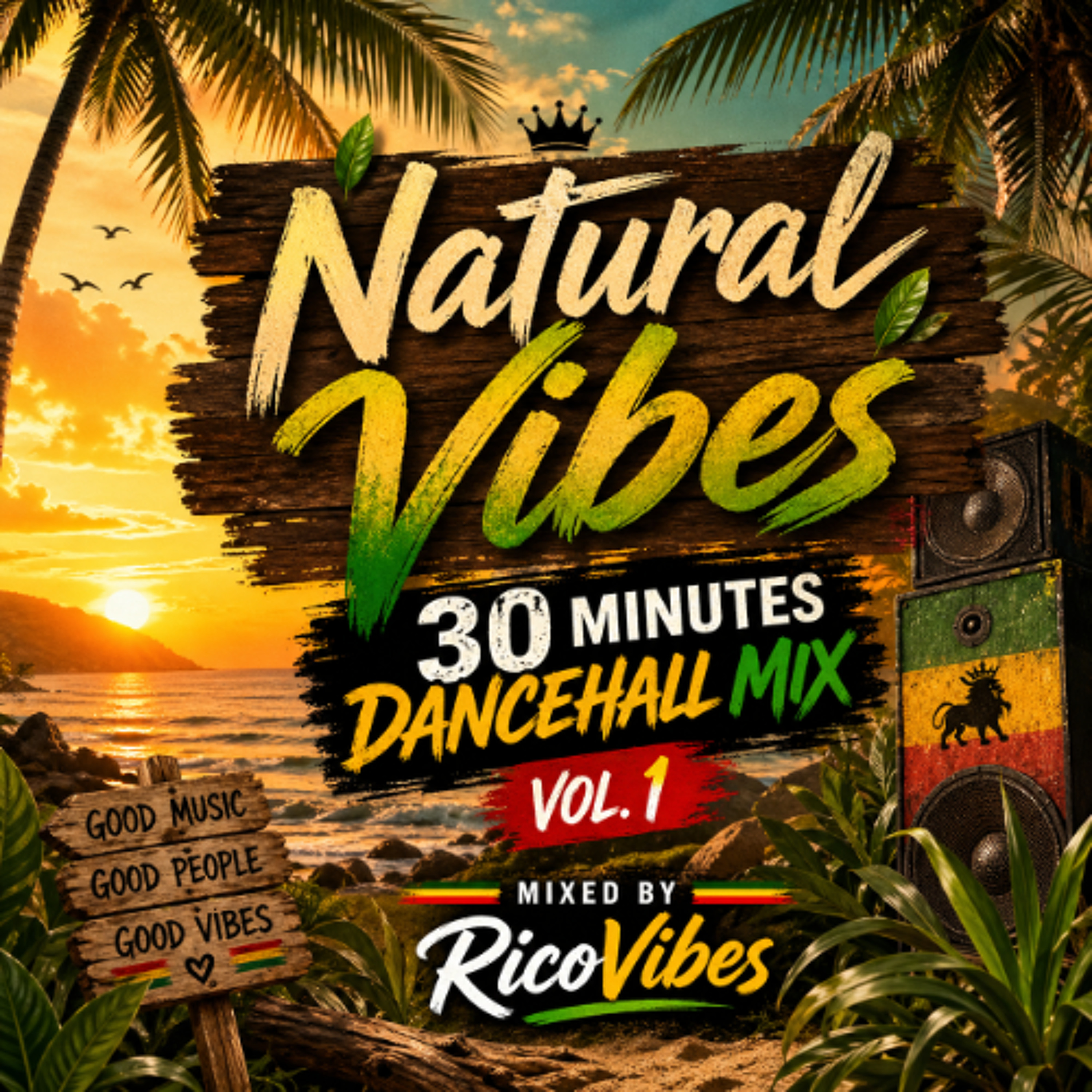 Natural Vibes 30 Minutes DanceHall Mix Vol. 1 episode artwork