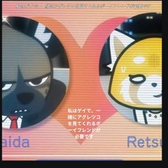i need a bf who likes aggretsuko dude ngl
