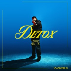 Detox (Official Audio)
