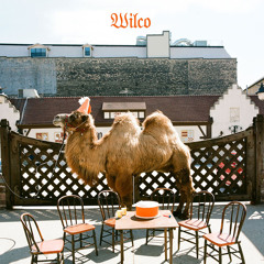 Wilco (The Song)