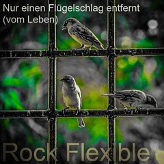 Nur einen Flügelschlag entfernt (vom Leben) - Rock Flexible