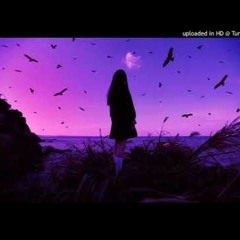 Royal Arm - Dr - House