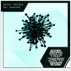 David Treiger - Not Knowing