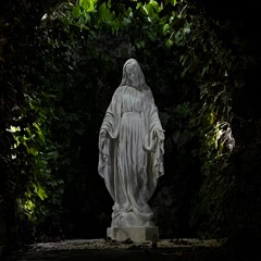 Enigma [THE LOST PROJECT]