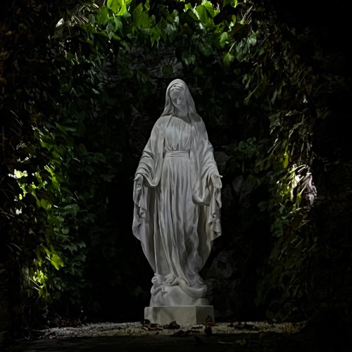 Enigma [THE LOST PROJECT]