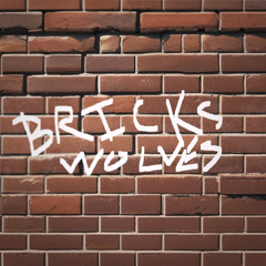 Bricks