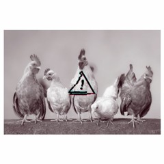Ghostface Chickens