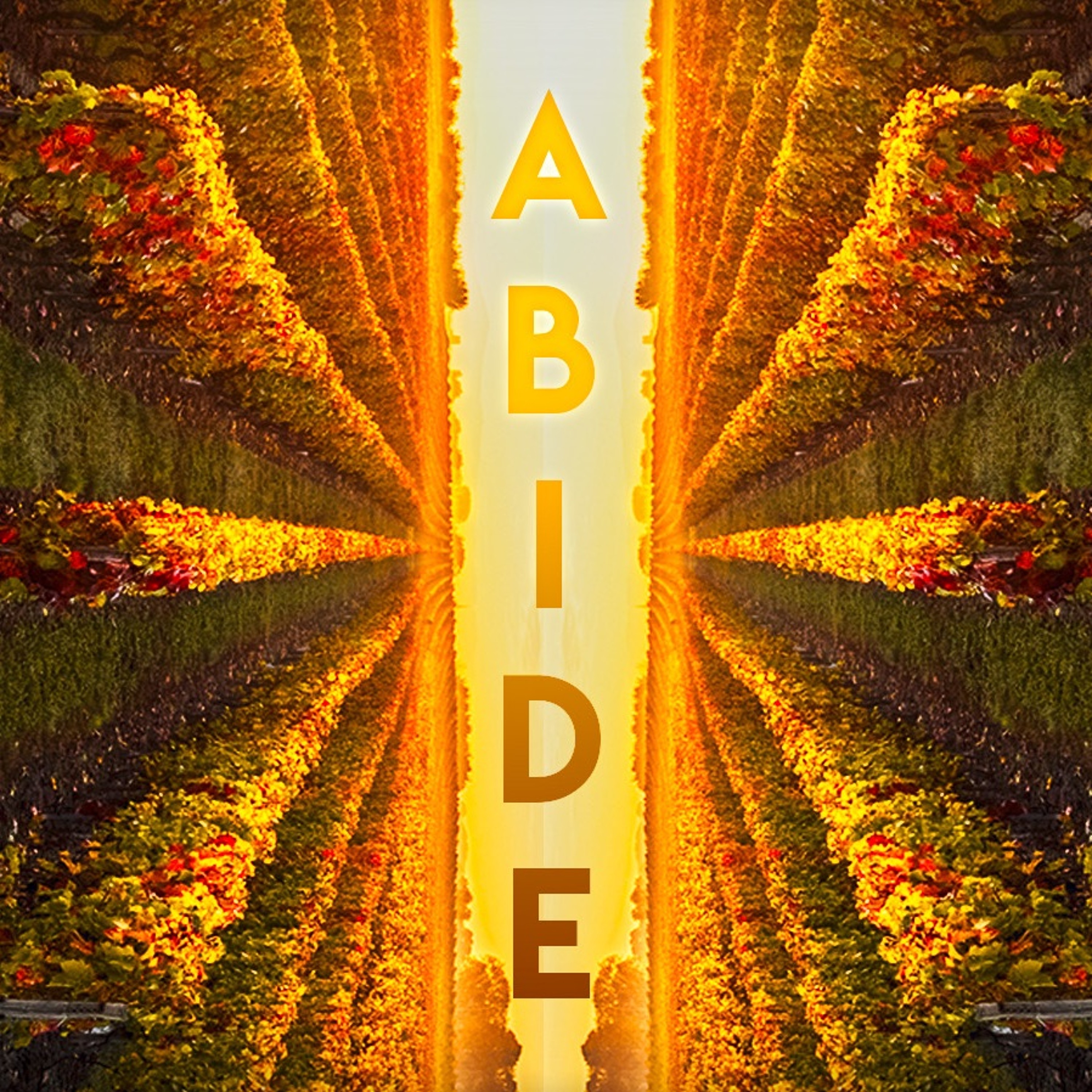 Abide - Abiding begins with prayer
