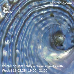 netil radio ~ spiralling, naturally 008 w/ basic chanel + softi (19 02 2025)