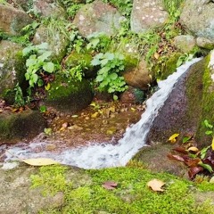 Small Waterfall Recorded from the Left