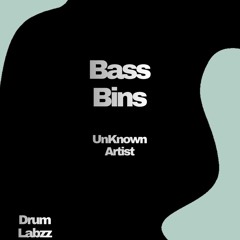 UnKnown Artist - Bass Bins