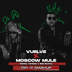 Vuelve x Moscow Mule (124-100)(Try It Mashup) | Daddy Yankee x Bad Bunny