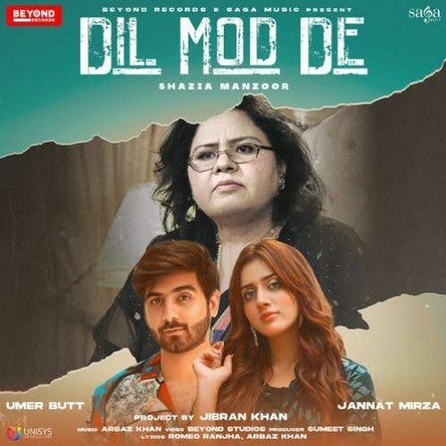 Dill Mod De - Shazia Manzoor