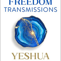 FREE EBOOK 🖍️ The Freedom Transmissions: A Pathway to Peace by  Carissa Schumacher [