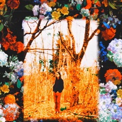 Dirt & the Psychedelic Muddy Waters