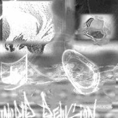 W O R L D  —  D E L U S I O N