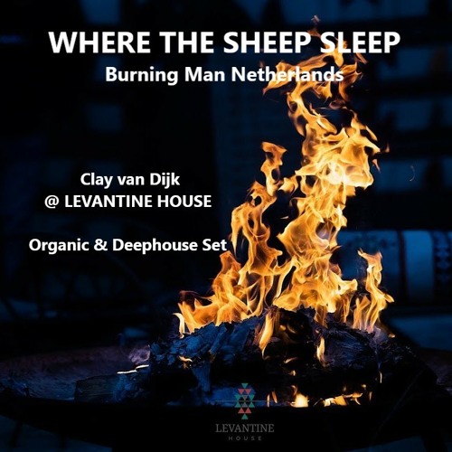 Clay van Dijk @ LEVANTINE House "Where The Sheep Sleep 2023" (Burning Man Netherlands)