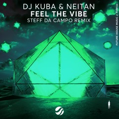 DJ Kuba & Neitan - Feel The Vibe (Steff da Campo Remix)