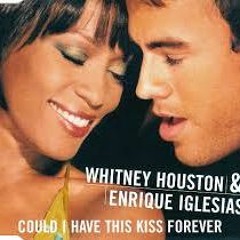 Could I Have this Kiss Forever - Remix