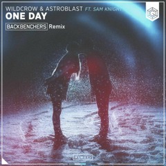 Wildcrow & Astroblast - One Day (ft. Sam Knight) (Backbenchers Remix)
