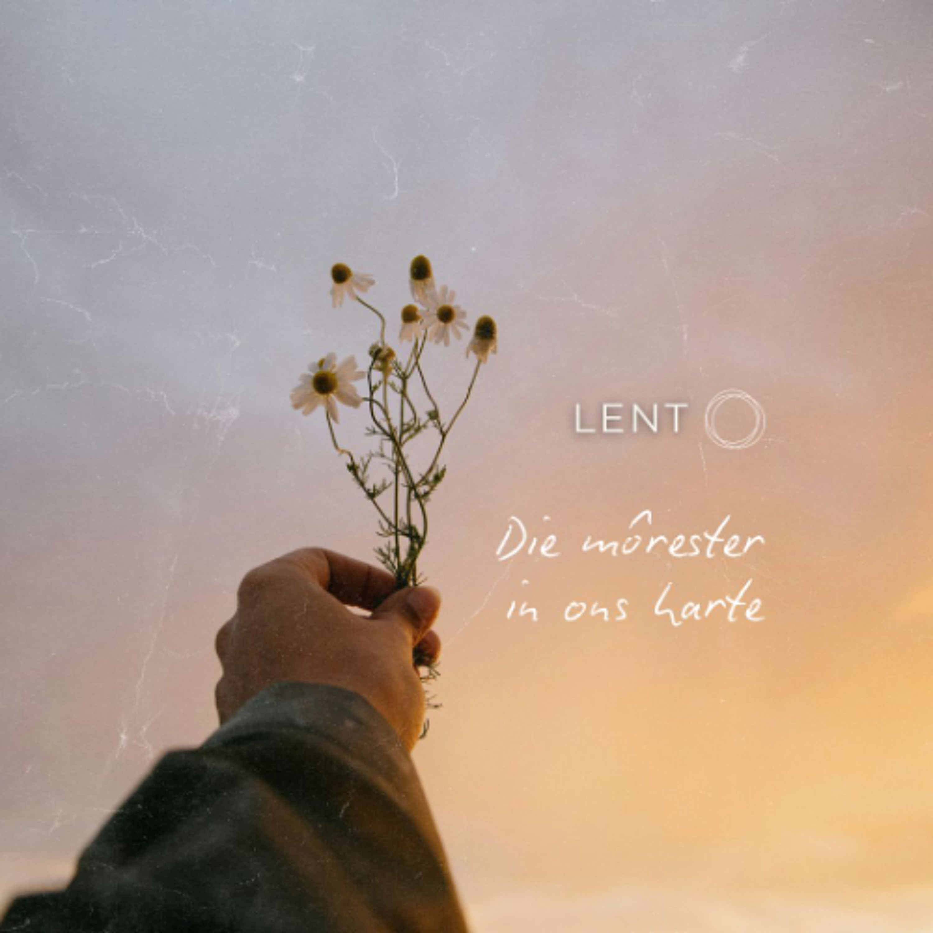 Die môrester in ons harte deur Frieda van den Heever