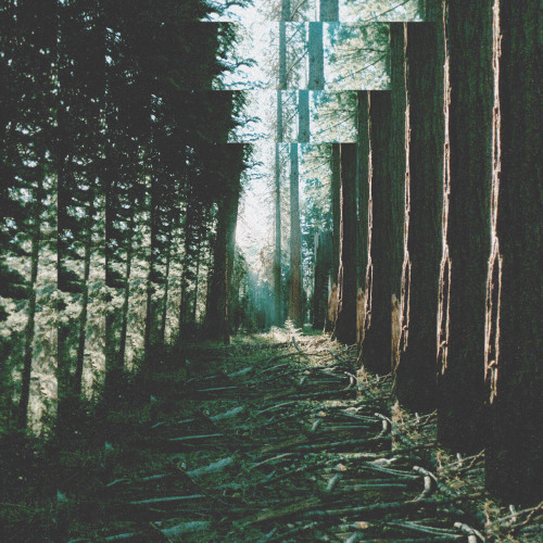 BAD005 // Silent Era - Emerald Pool