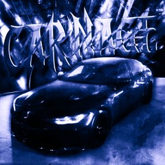 CARNAGE
