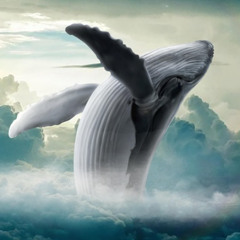 Magic Komposition No. 48 - "Whale Dance"