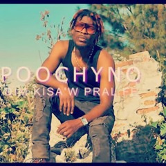 Poochyno-DIM KISAW PRAL FE (Official Audio)