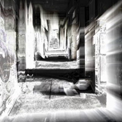 Sans Titre Sans Laisser de Trace