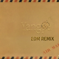 양파오늘만 (REMIX()