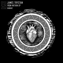 James Trystsan - From Within (Aaron Suiss Remix) Desert Hearts Black