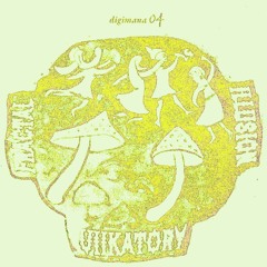 DIGIMANA004: Viikatory - Fractal Illusion EP