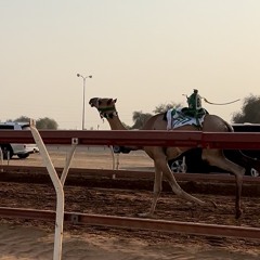 ‎⁨نادر الشراري - سبق شاهين (حصرياً)  2025⁩