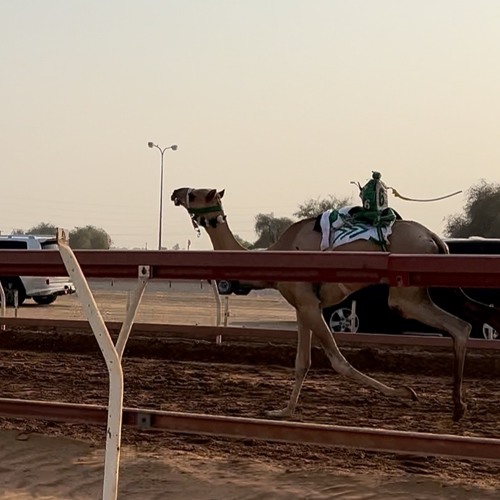 ‎⁨نادر الشراري - سبق شاهين (حصرياً)  2025⁩