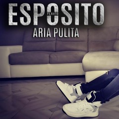 Flavio Esposito - Aria Pulita (Cover Franco Calone)
