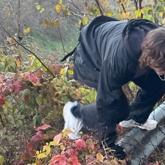 peri_masali_prod._matt_bartkus