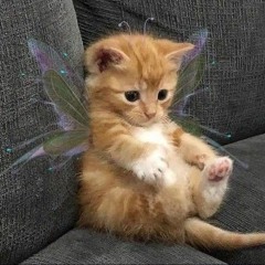 hopelessly devoted to you