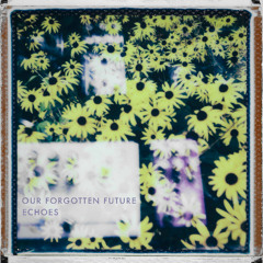 Echoes