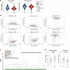 Predicting Cancer Immunotherapy Response From Gut Microbiomes Using Machine Learning Models