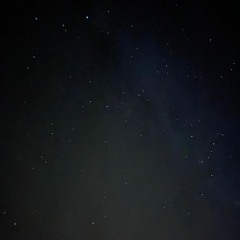 Weedstock 2.0 // 13.08.2023